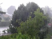 Regen statt Birkenmast!!!!!